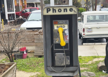Cómo ponerse en contacto con las aves utilizando una cabina telefónica de la zona de Washington D. C.