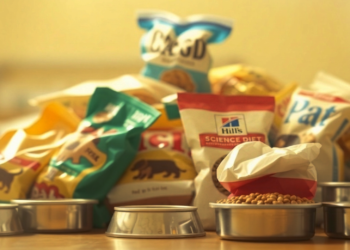 El condado de Montgomery organiza puntos de entrega para alimentos de verano para mascotas
