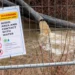 El Departamento de Justicia y el Departamento de Medio Ambiente de Maryland presentan demandas contra DC Water por el vertido de aguas residuales en el Potomac