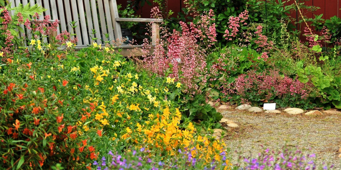 De jardines tradicionales a jardines nativos: plantas para las aves y las abejas
