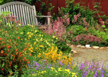 De jardines tradicionales a jardines nativos: plantas para las aves y las abejas