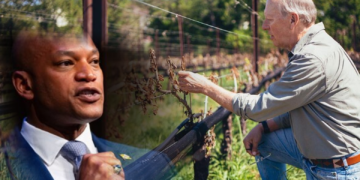 Gobernador de Maryland ordena ayuda estatal para agricultores afectados por las heladas de abril