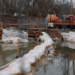 Un nuevo estudio regional de 25 millones de dólares tiene como objetivo garantizar un suministro de agua de reserva más allá del río Potomac