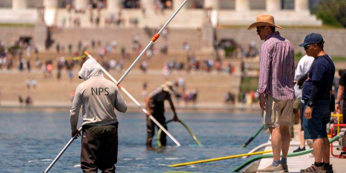 El problemático «Reflecting Pool» se enfrenta a un nuevo escrutinio por las denuncias de vandalismo y la muerte de patos