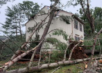 El Servicio Meteorológico Nacional (NWS) concluye que los daños causados por la tormenta en el condado de Fairfax se debieron a una ráfaga de viento de tipo «microburst»