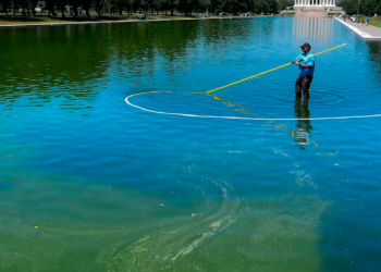Tres personas más acusadas de causar daños al Reflecting Pool tras la restauración multimillonaria de Trump