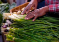 La preocupación por la Cyclospora atrae a más clientes a los agricultores y mercados agrícolas de la región de Washington, D.C.